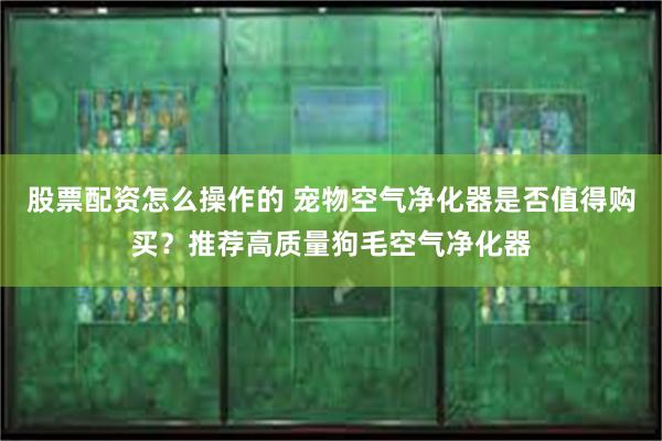 股票配资怎么操作的 宠物空气净化器是否值得购买？推荐高质量狗毛空气净化器