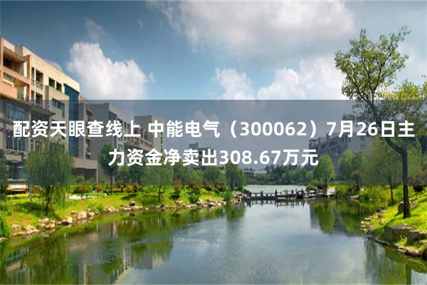 配资天眼查线上 中能电气（300062）7月26日主力资金净卖出308.67万元