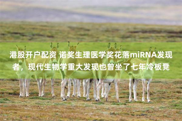 港股开户配资 诺奖生理医学奖花落miRNA发现者，现代生物学重大发现也曾坐了七年冷板凳