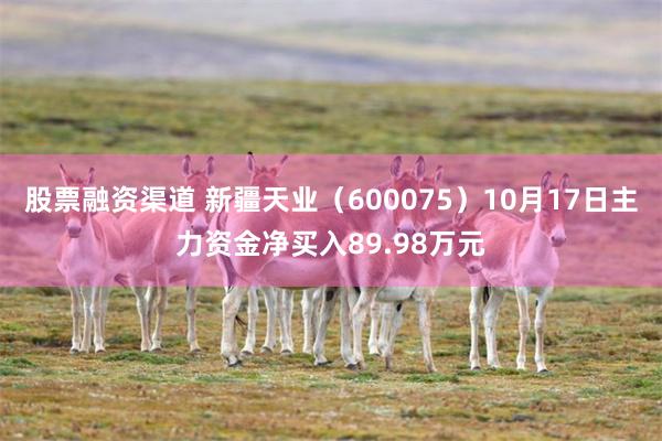 股票融资渠道 新疆天业（600075）10月17日主力资金净买入89.98万元