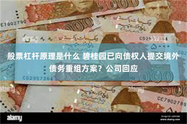 股票杠杆原理是什么 碧桂园已向债权人提交境外债务重组方案？公司回应