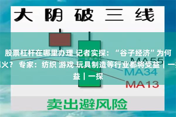 股票杠杆在哪里办理 记者实探：“谷子经济”为何爆火？ 专家：纺织 游戏 玩具制造等行业都将受益｜一探