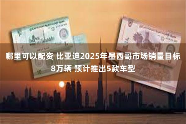 哪里可以配资 比亚迪2025年墨西哥市场销量目标8万辆 预计推出5款车型