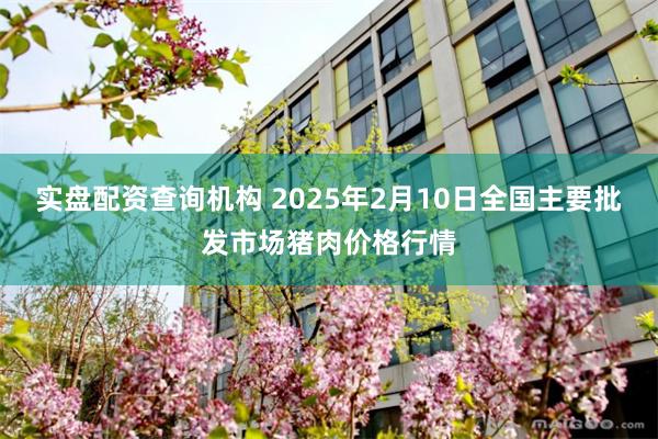 实盘配资查询机构 2025年2月10日全国主要批发市场猪肉价格行情