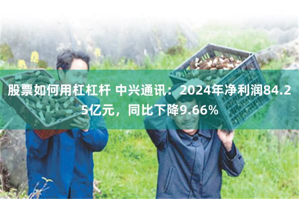 股票如何用杠杠杆 中兴通讯：2024年净利润84.25亿元，同比下降9.66%