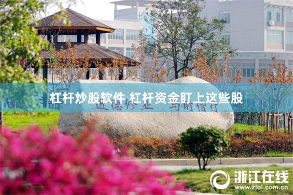 杠杆炒股软件 杠杆资金盯上这些股