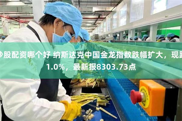 炒股配资哪个好 纳斯达克中国金龙指数跌幅扩大，现跌1.0%，最新报8303.73点
